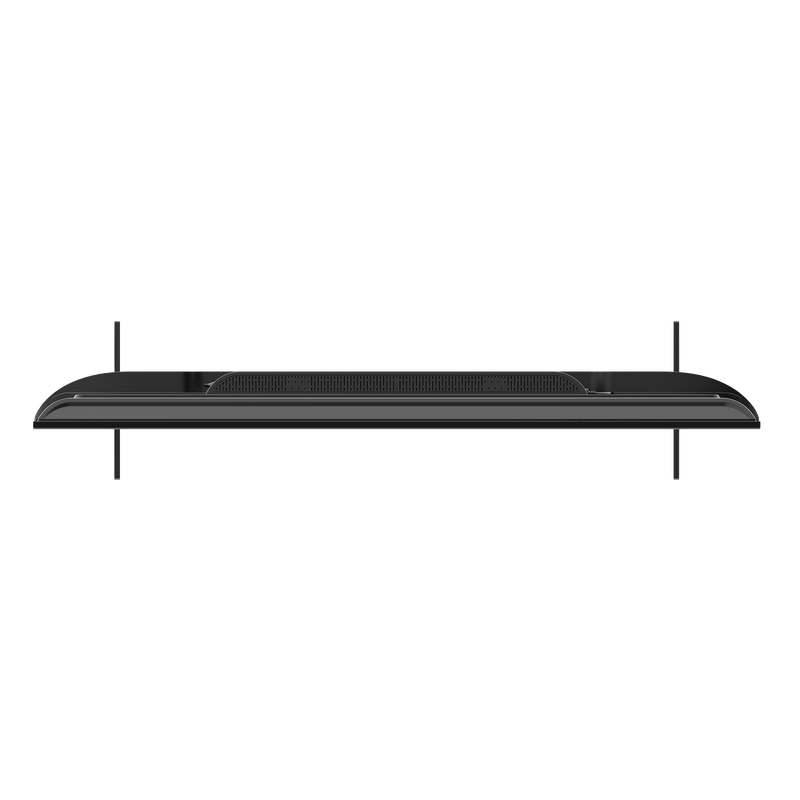 a2